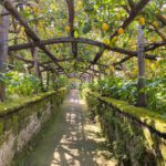 I Giardini Di Cataldo: A walkthrough Lemon Grove