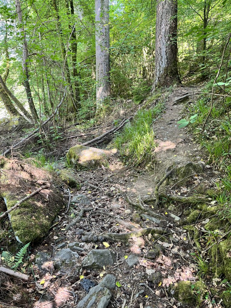 Eroded path by the river bank