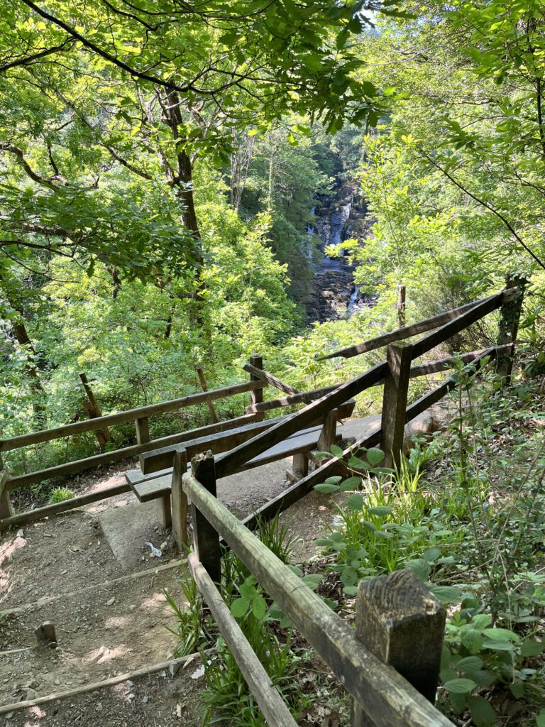 Swallow Falls View Point