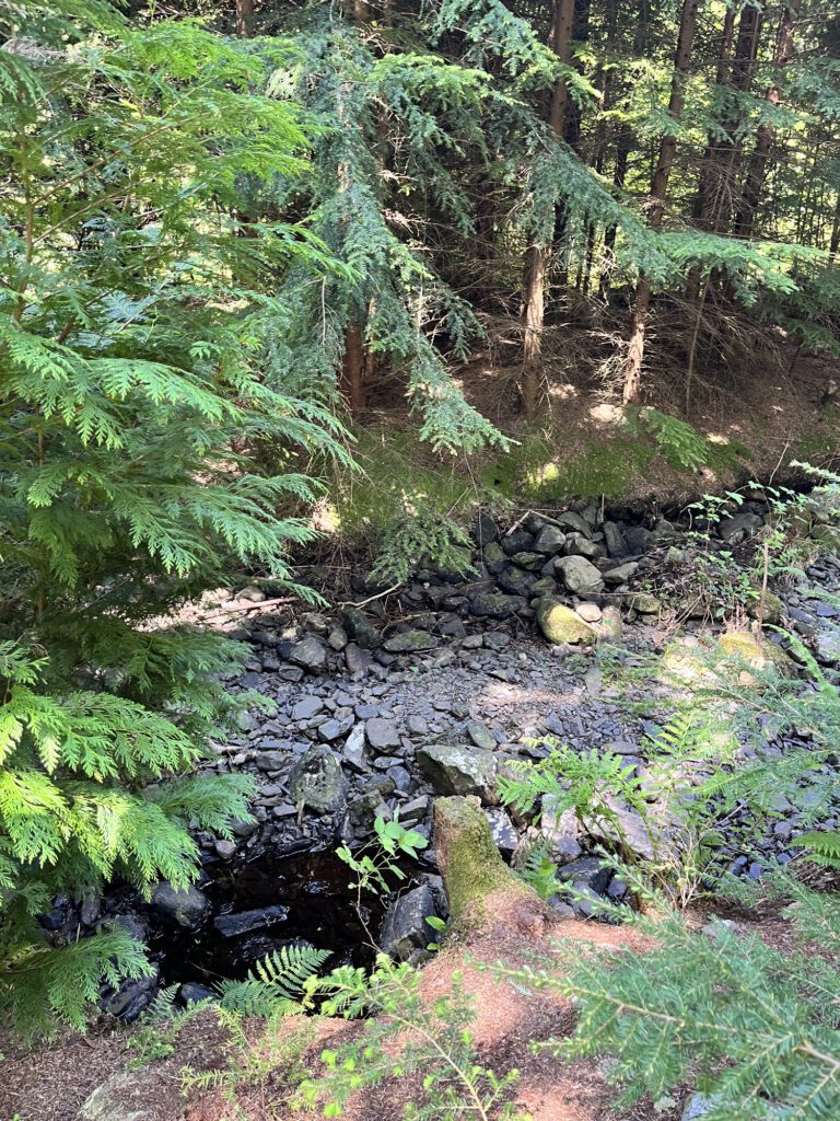 Small stream with slate at base