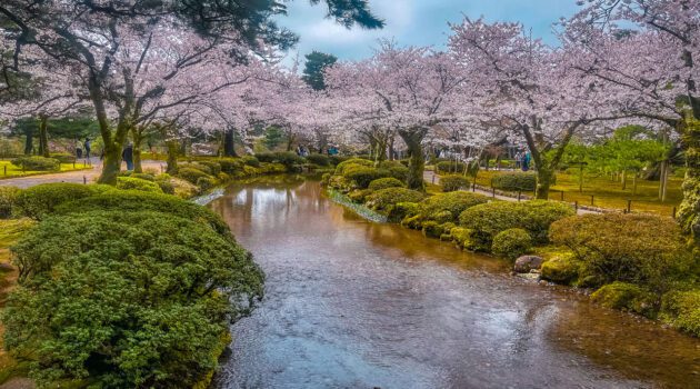 Hanami Bridge: Kenroku-en Garden Kanazawa